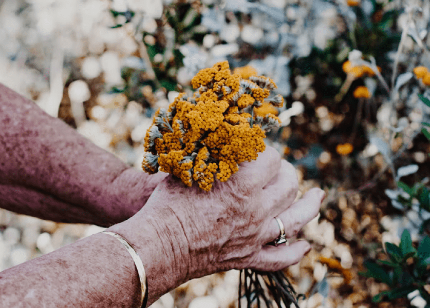 manos de mujer mayor con flores